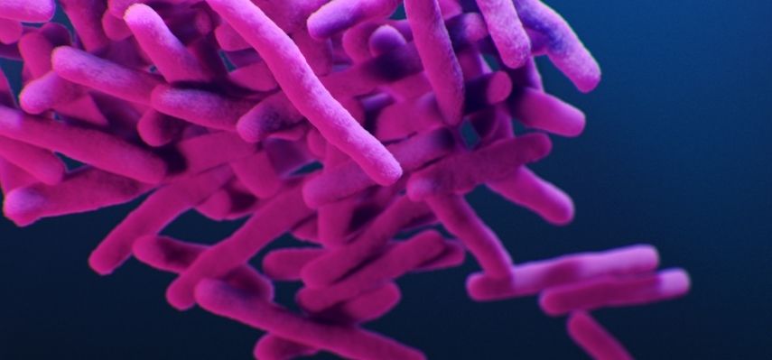 Antimicrobial Resistance No Action Today No Cure Tomorrow